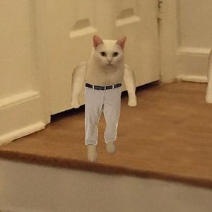 Meet your Posher, Mare